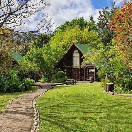 Tsitsikamma Lodge & Spa Стормсривиер Екстериор снимка