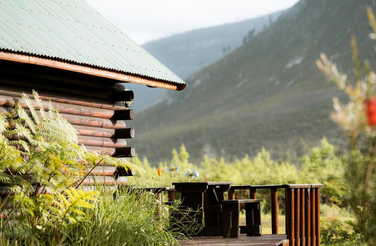 Tsitsikamma Lodge & Spa Стормсривиер Екстериор снимка