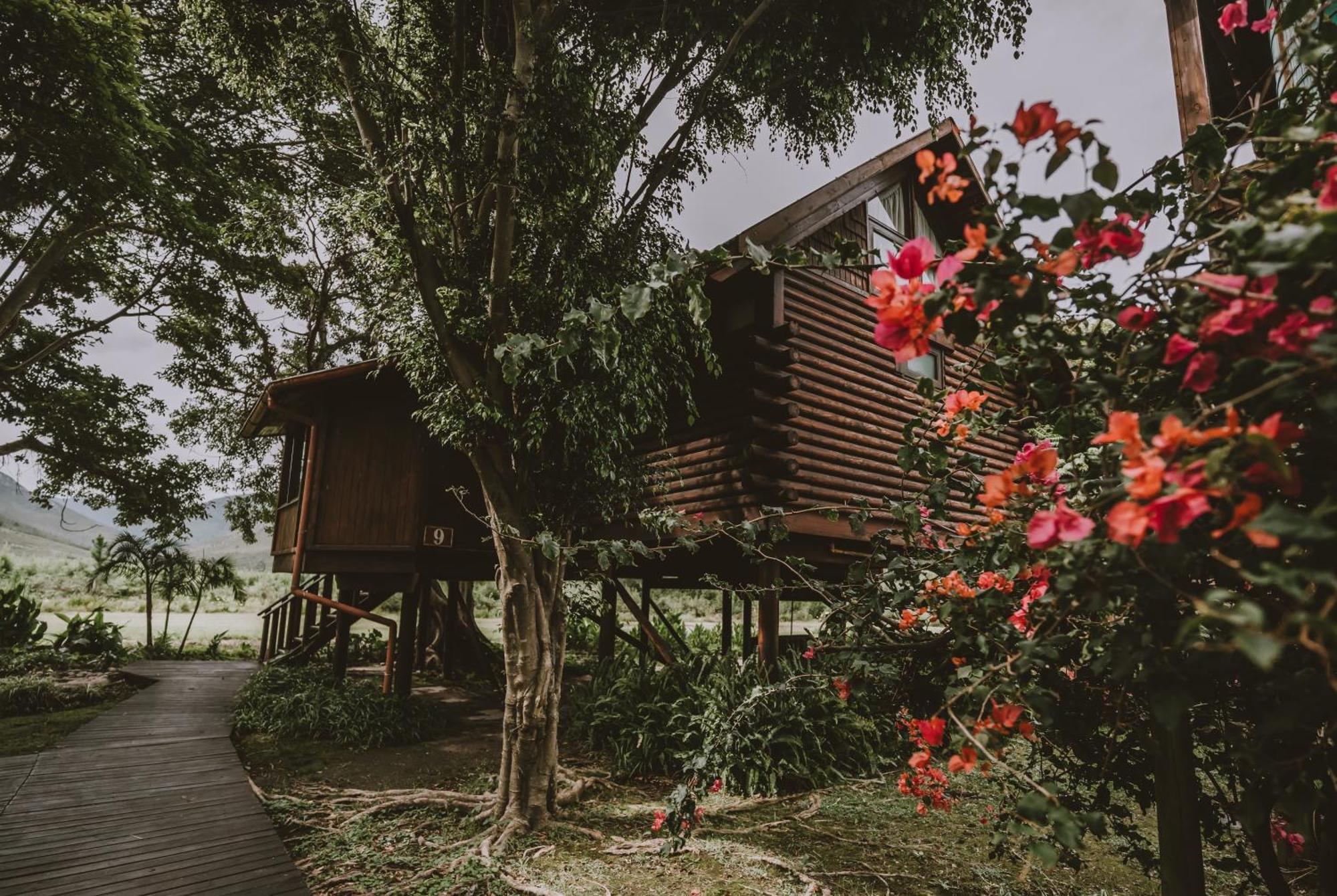 Tsitsikamma Lodge & Spa Стормсривиер Екстериор снимка