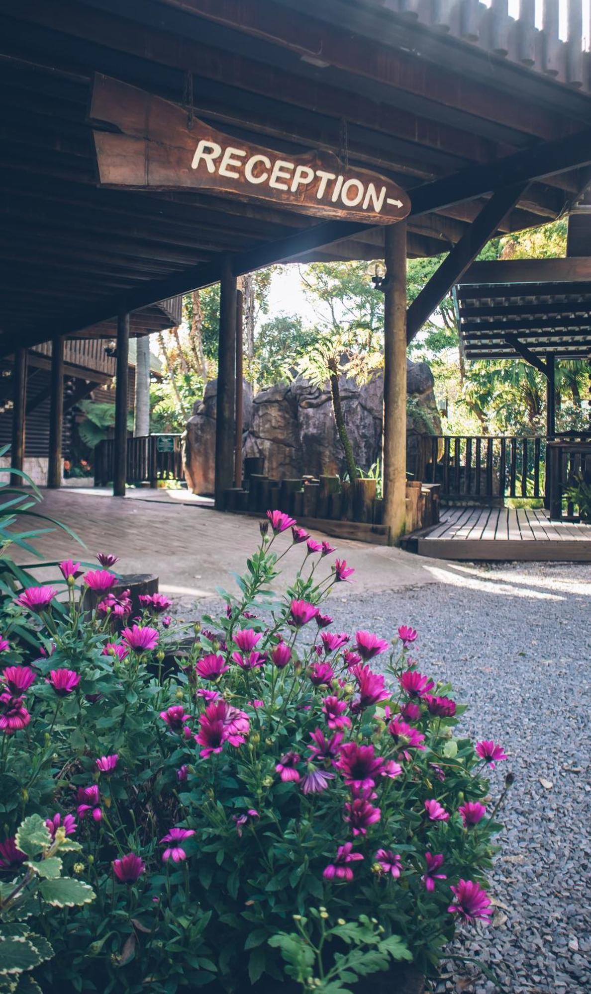 Tsitsikamma Lodge & Spa Стормсривиер Екстериор снимка